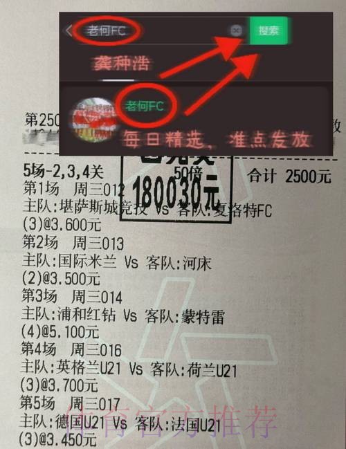 深入解析“世界杯买球”背后的热点与趋势