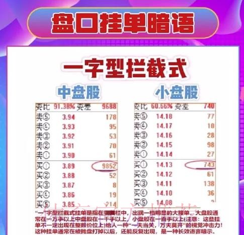 世界杯盘口APP全站攻略与详解
